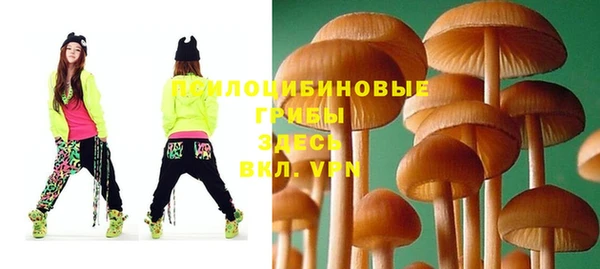 первитин Горнозаводск