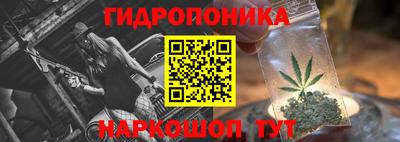 mdpv Обнинск