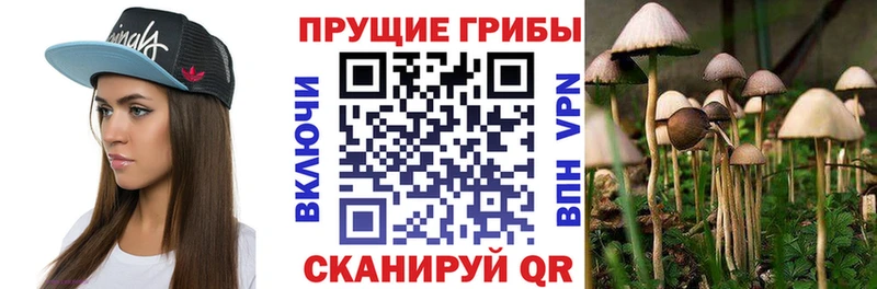 Псилоцибиновые грибы MAGIC MUSHROOMS  Моршанск 