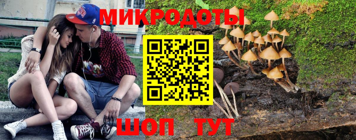 Галлюциногенные грибы ЛСД  дарнет шоп  Псилоцибиновые грибы Psilocybine cubensis  Моршанск 