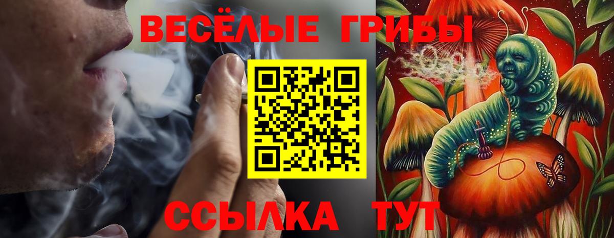 Галлюциногенные грибы прущие грибы Моршанск